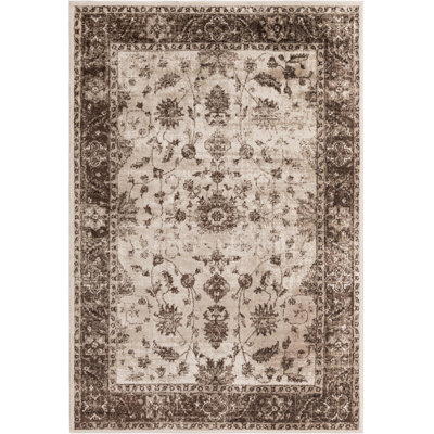 Emigdio Oriental Indoor Rug