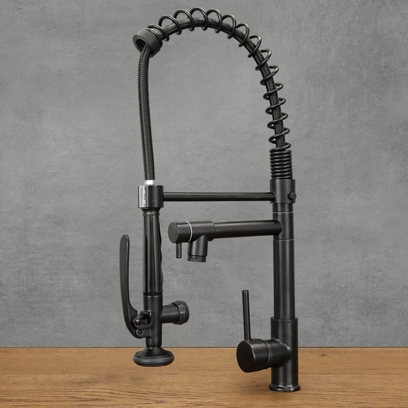 Belfry Kitchen Kitchen Faucet