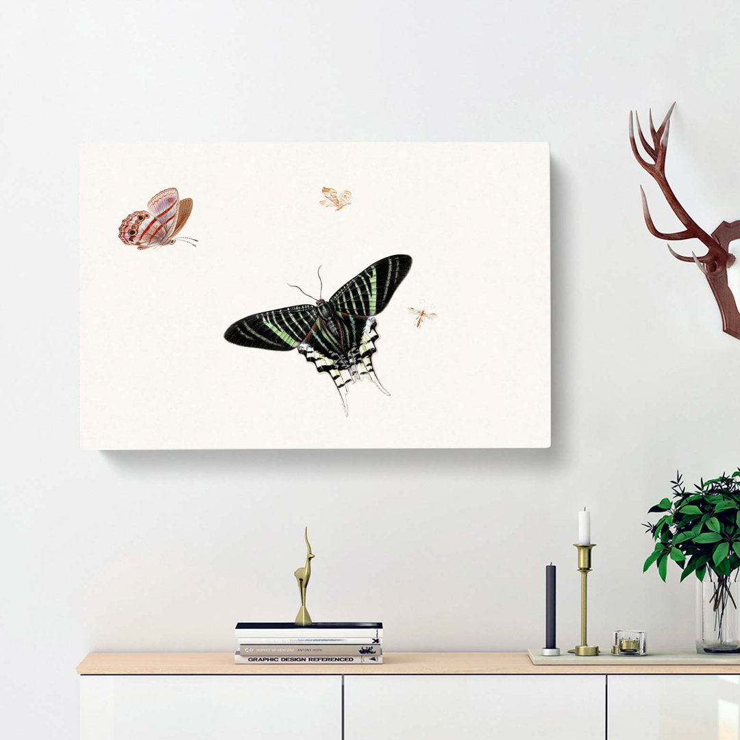 A Wasp & Three Butterflies by Herman Henstenburgh - Wrapped Canvas