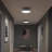 Avra Large 3-Light Brushed Nickel Flush Mount with Etched White Glass Shade-127420135
