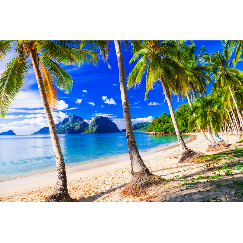 Beautiful Palm Beach - Wrapped Canvas Print, 30cm H x 46cm W
