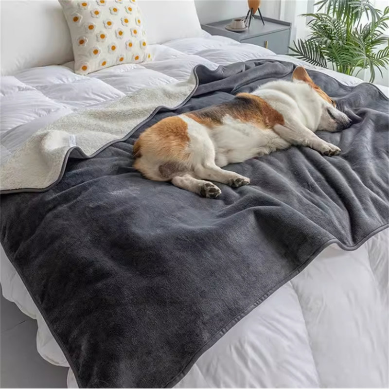 Couvertures pour chiens