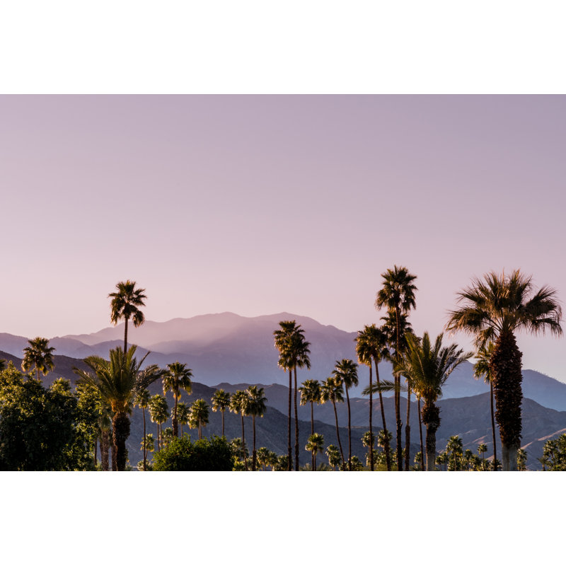 Palm Springs San Jacinto par Wildroze, H 24 po x l 36 po