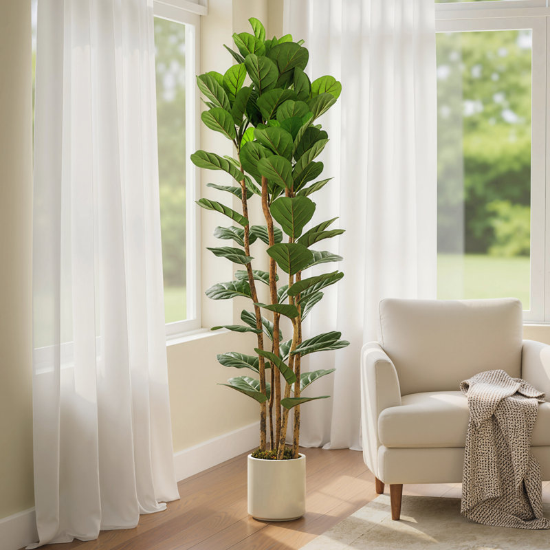  180cm Artificial Fiddle Leaf Fig Tree with Solid Wood Trunks, 180 cm x 55 cm
