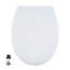 Oval Toilet Seat-1761023350
