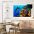 Reef Sea Life-107675145