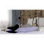 Coussin en coton 