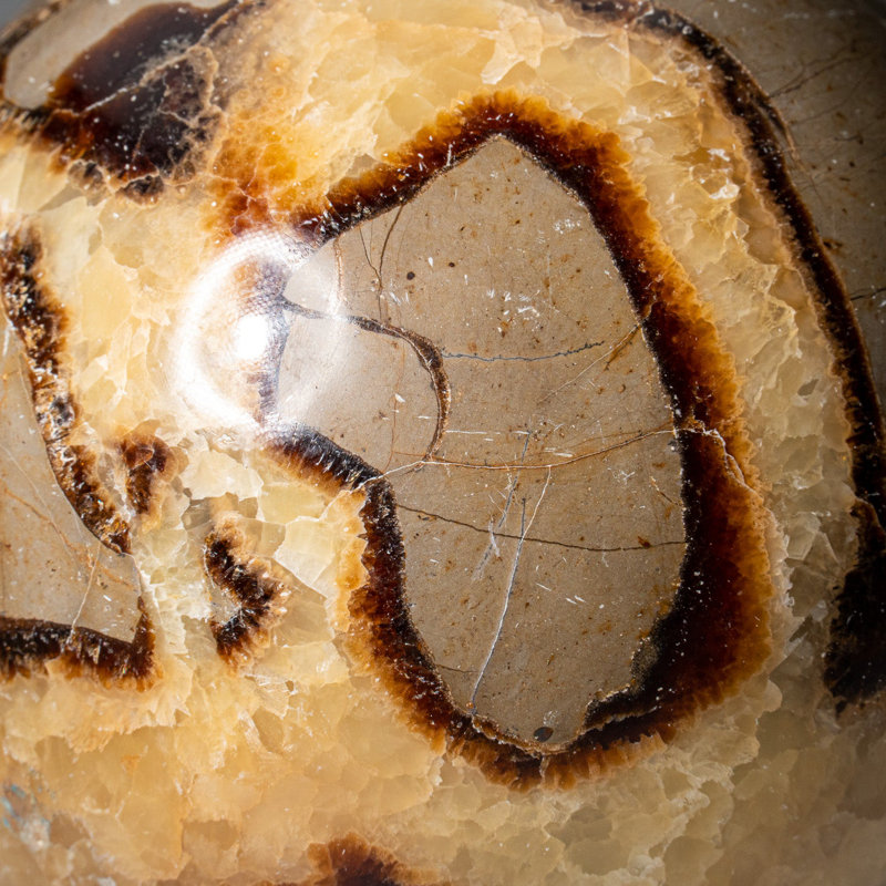 Genuine Polished Septarian (2") Sphere from Madagascar, 3.5" H x 3.5" W x 3.5" D, Brown/Gray/White