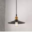 Luminaire suspendu de style industriel noir mat