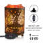 Lampe à sel VanVleet Himalayan 3,32 lb
