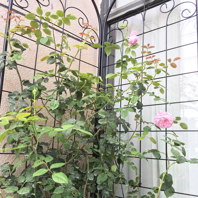 86.7'' X 19.7'' Metal Garden Trellis 4 - Rustproof Black Trellis, Easy Install, Material, Supports Ivy, Rose, Morning Glory, , Climbing Plants 86.7''X