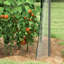 Fenra Mini Greenhouse with Durable Plastic Cover, Sturdy Steel Frame