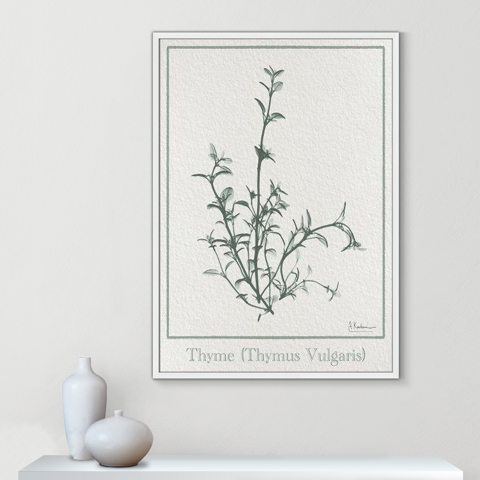 Jeanette "Thymus Vulgaris" Print, 41.5" H x 29.5" W x 1.25" D, Satin White Framed Paper