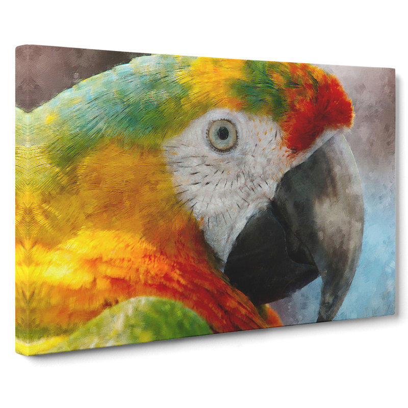 A Macaw Parrot - Wrapped Canvas, 50cm H x 76cm W x 3cm D