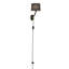 Arbor 1 - Light Armed Sconce-709365973