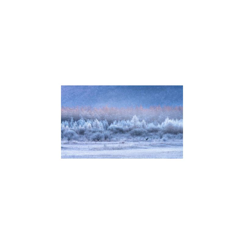 Wrapped Canvas Print, 50.8 cm H x 76.2 cm W