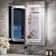 Rectangle LED Lighted Medicine Cabinet with Frontlit, Sidelit, Memory,  Fog-free Function & Tempered Glass