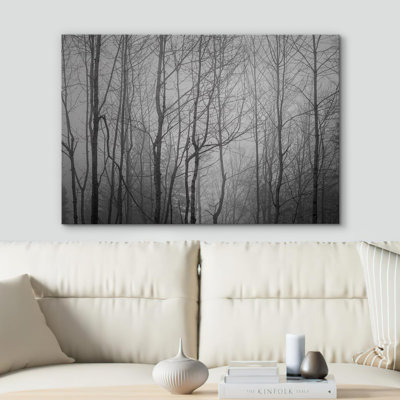 "Mystical Winter Woods, noir et blanc, arbres dénudés dans le brouillard, paysage naturel, illustrations, chic moderne" sur