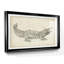 Croquis de crocodile - reproduction encadrée de qualité supérieure - prête à être accrochée-1145187742-1145187714