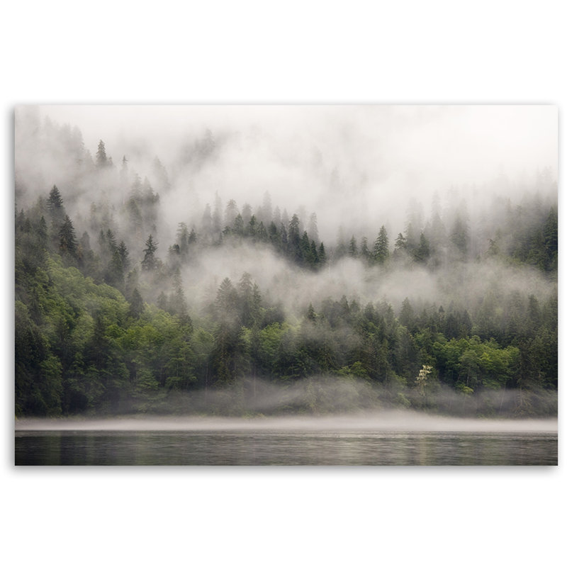 Mural, forest in the fog, 80cm H x 120cm W