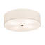Zortman 4 - Light Flush Mount