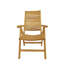 Carina Outdoor Teak Lounge Chair