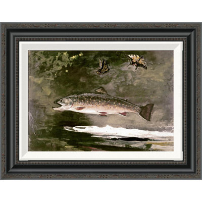 " Trout " by Winslow Homer
