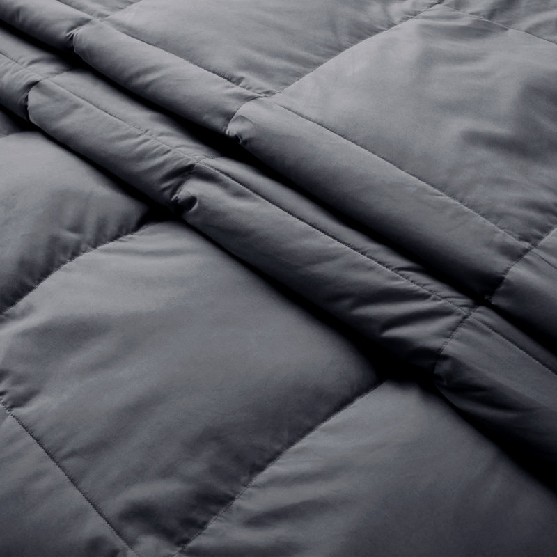 Lightweight Ultra-Soft Natural Feather Down Fiber Comforter/Duvet Insert, King, King, Dark Gray
