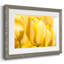 Sunshine Yellow II - impression d'un seul cadre photo-1807981067-1807981066