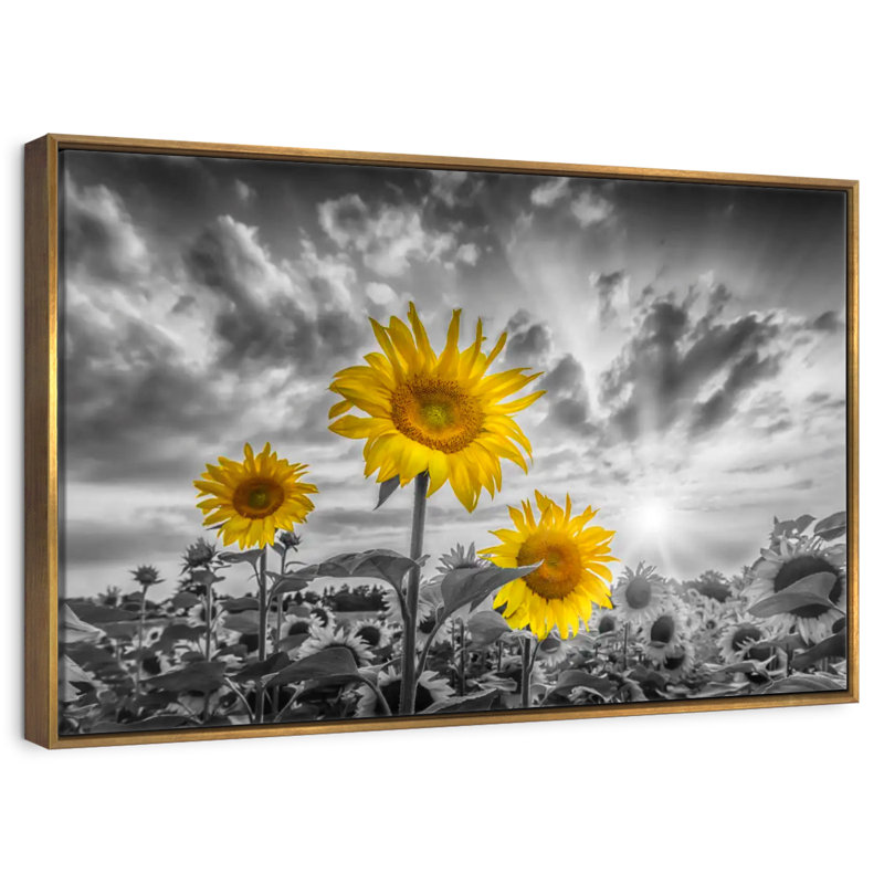 Tournesols de couleur jaune coucher de soleil, 46 po x 31 po, Cadre flottant doré