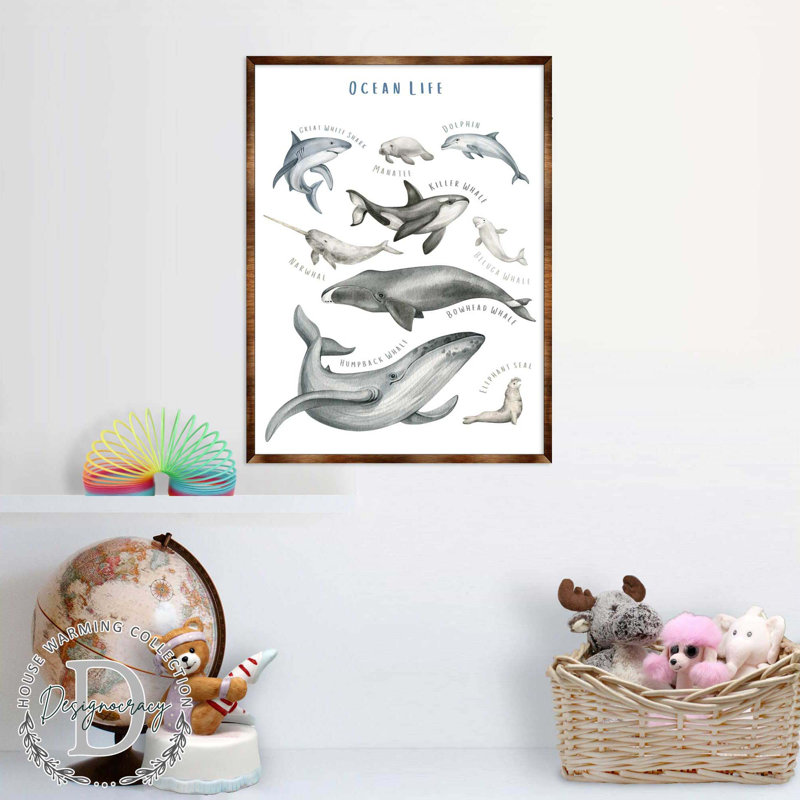 Art encadré Maone Ocean Animals, H 16 po x l 12 po x P 0,5 po