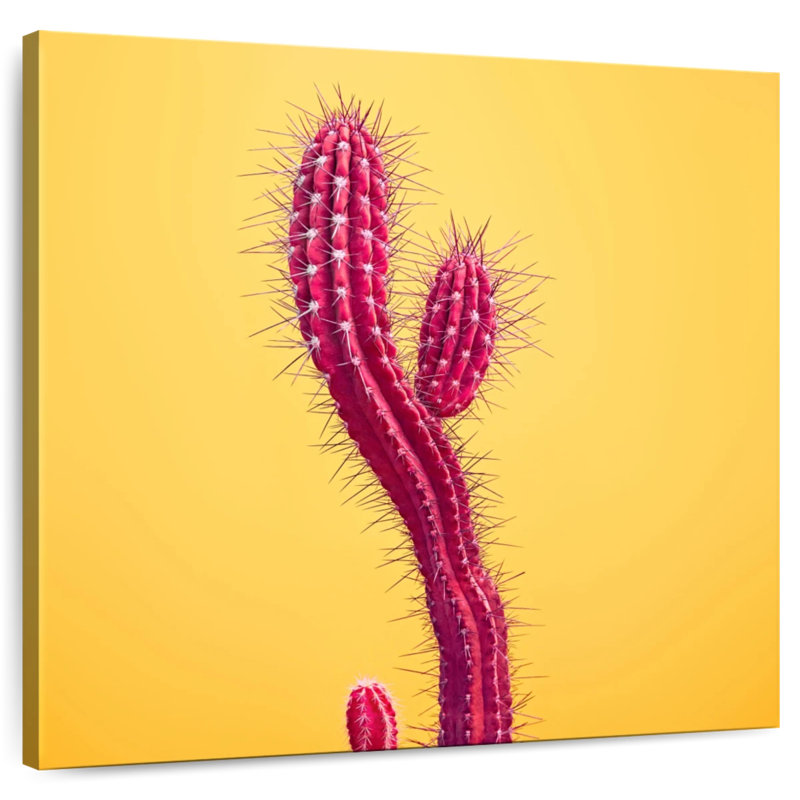 Thorny Cactus, 39" H x 39" W