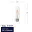 Ampoule à intensité variable de 25 watts à DEL T9 à DEL, culot E26 blanc moyen (2700K) / moyenne (standard)