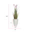 58,9 po plante