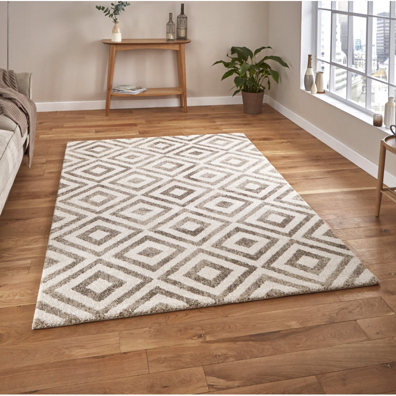 Swartz area rug Machine Woven Rectangle Beige, Rectangle 120 x 170cm