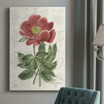 " Peony Flower Garden II " Painting Print