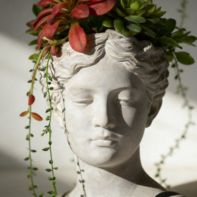 Cement Head Planter, Indoor Outdoor Home Garden Decor, D7" x 11"