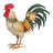 Buff Rooster Decor LG