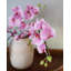 Pink Flowering Phalaenopsis Orchid 34"-1842742670-1842742671