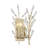 Orianna 2-Light Wall Sconce in Noble Brass