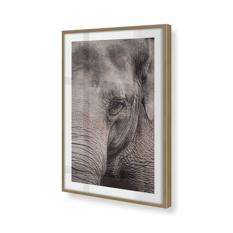 «Wise Gaze Print», dans un cadre,, H 11,25 po x l 9,25 po x P 1,25 po, Cadre doré brossé