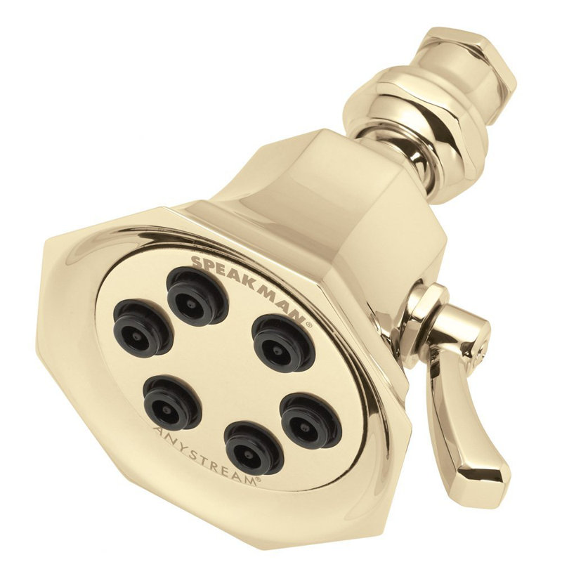 6 Jet Multi Function Adjustable Shower Head, Polished Brass, 2.5 GPM