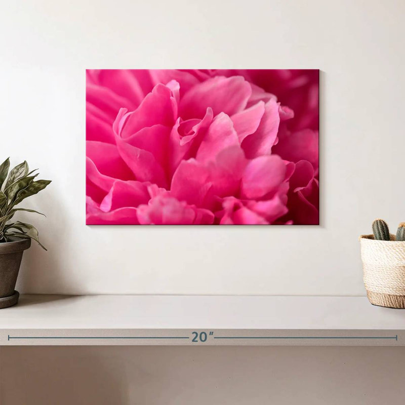 Pivoine rose brillante, H 8 po x l 12 po