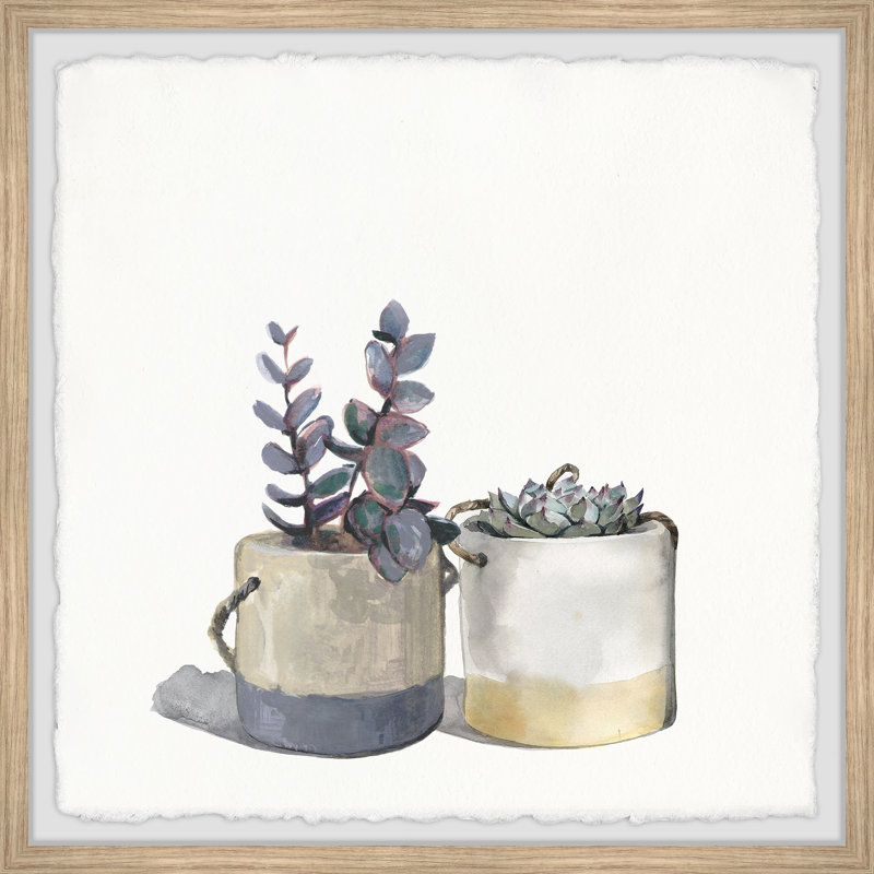 Succulent Pots - Single Picture Frame Painting, 45cm H x 45cm W x 3.81cm D