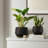 Ceramic Plant Pots 4.1+5.1+6.5 inch-1341610159