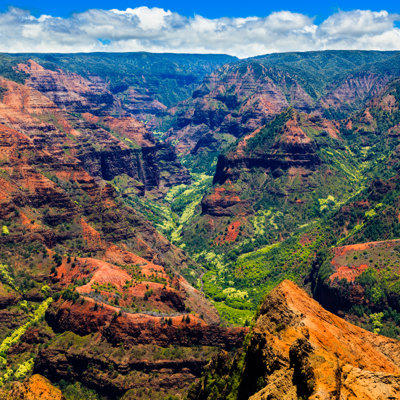 Annabellelee " Waimea Canyon " by Nstanev