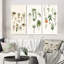 «Botanical Bliss Joyful Hanging Boho Houseplants», 3 pièces sur toile-712027564-712027559