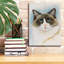 " Ragdoll 2 " by Barbara Keith-1981353635