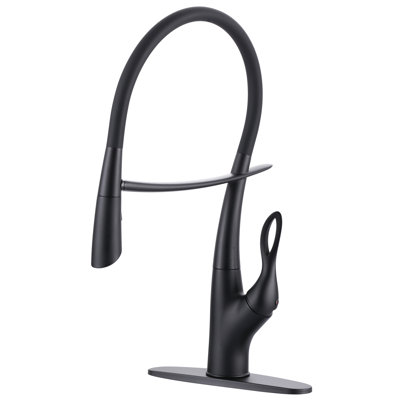 Magnetic Single-Handle Pull-Out Sprayer Kitchen Faucet With Deckplate And Water Supply Line