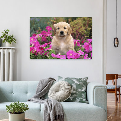 1990S Golden Retriever Puppy Dog Sitting Among Petunias Looking At 11/01Camera Classic Retro Vintage Dog Wall Art